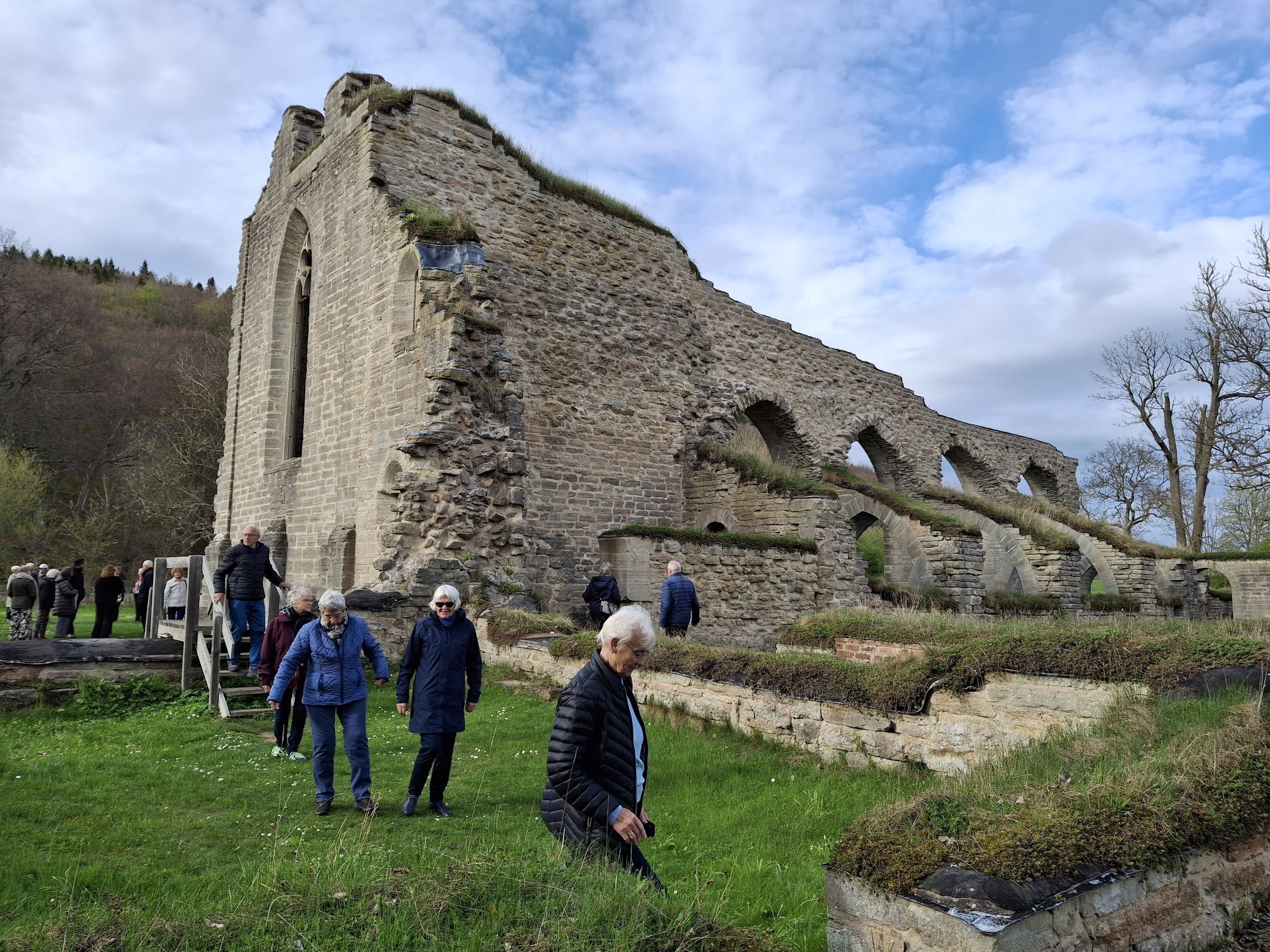 Alvastra Monastery (Alvastra klosterruin)